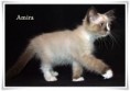 /album/amira/amira-12-hetes-005-jpg/